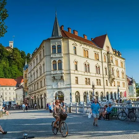 Rocky Mountain House Ljubljana